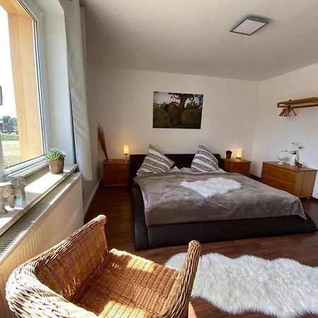 Gelbes Haus Seenland Ferienwohnungen Xl Elsterheide Экстерьер фото
