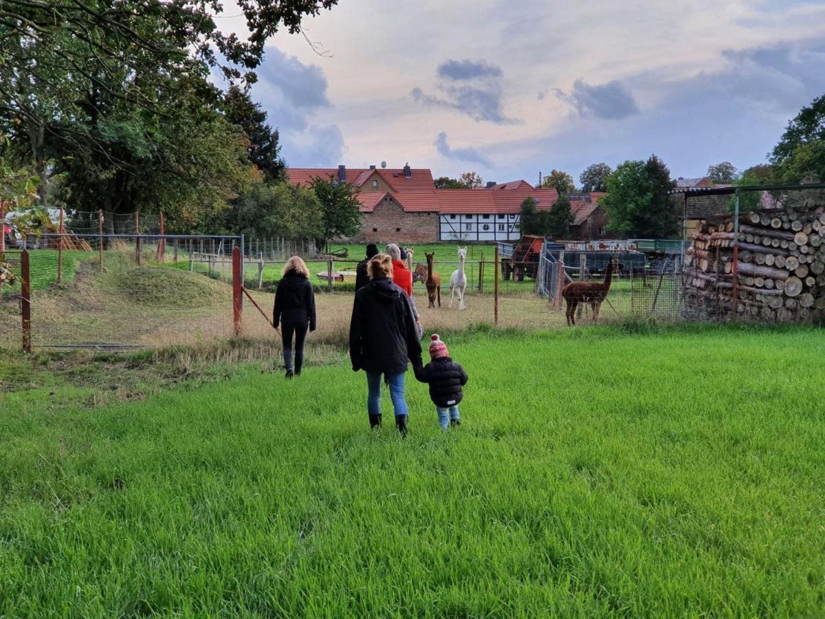 Gelbes Haus Seenland Ferienwohnungen Xl Elsterheide Экстерьер фото