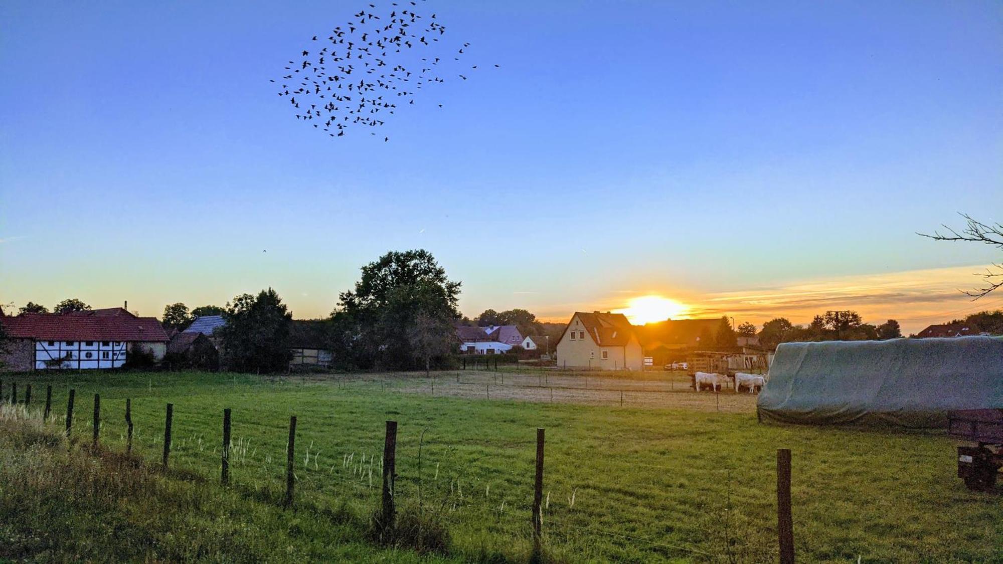 Gelbes Haus Seenland Ferienwohnungen Xl Elsterheide Экстерьер фото